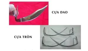 lên cựa gà