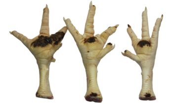 viêm da chân ở gà