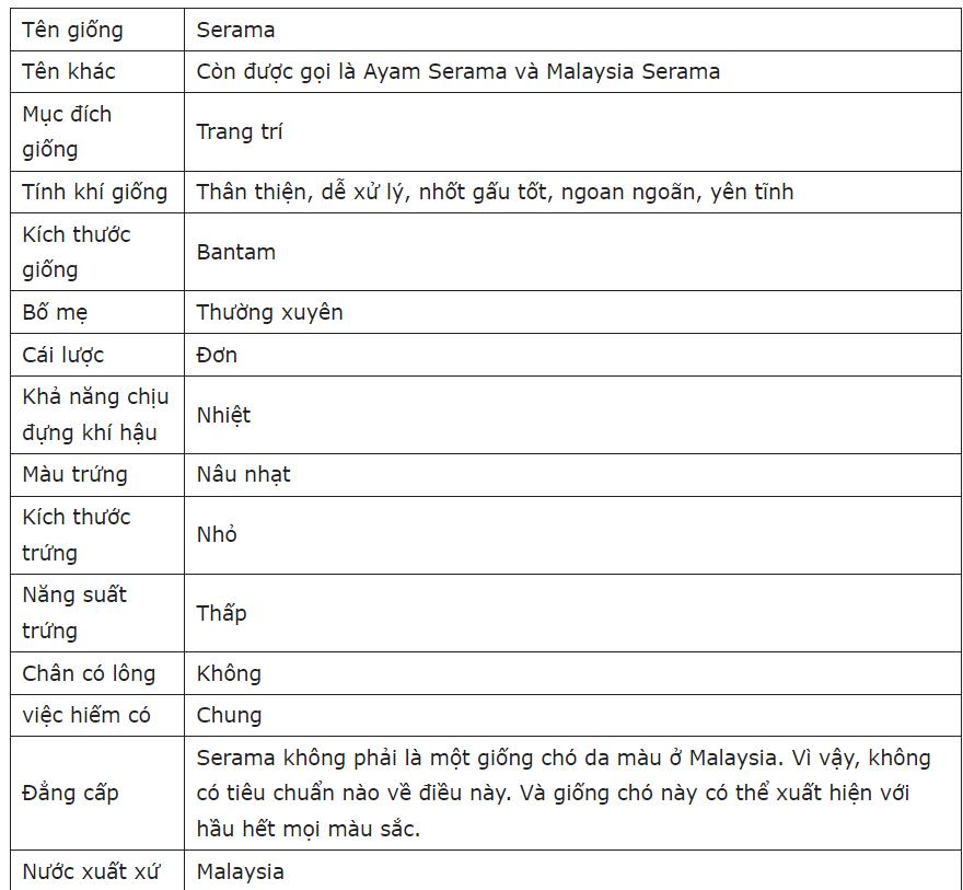 giống gà Serama