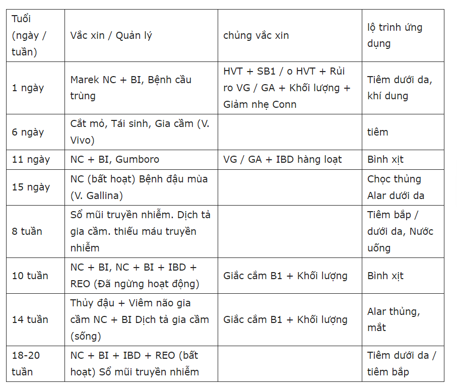 vắc xin cho gà sơ sinh